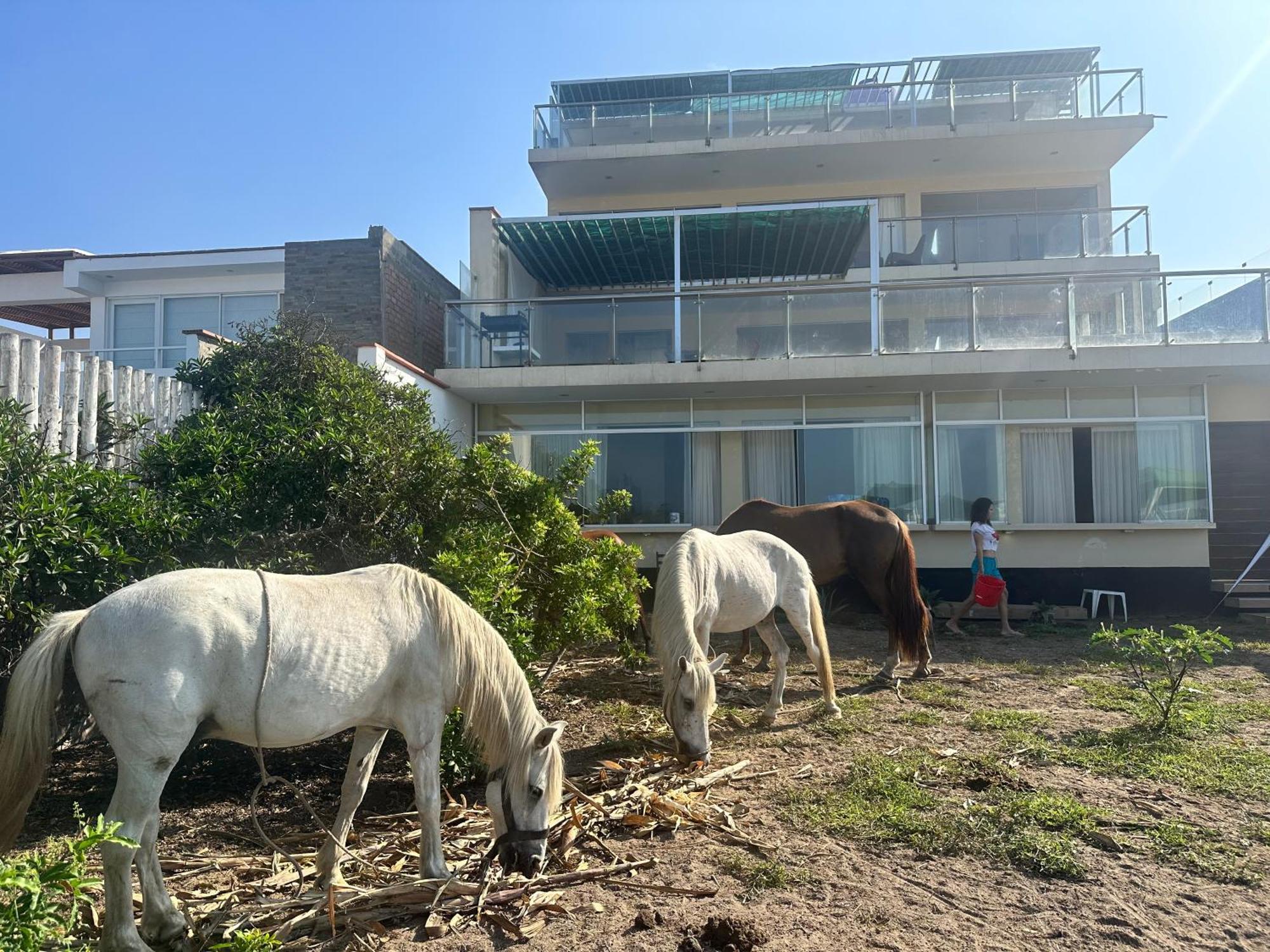 Yolo House Peru Bed & Breakfast Asia Exterior photo